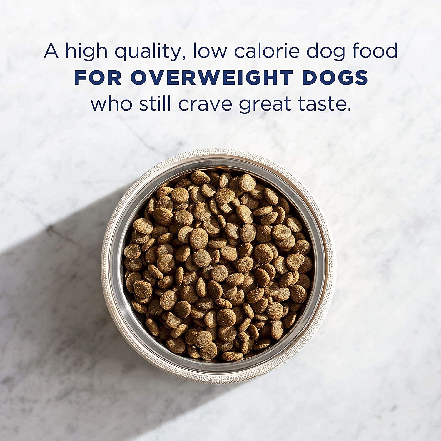 High calorie low 2024 fat dog food