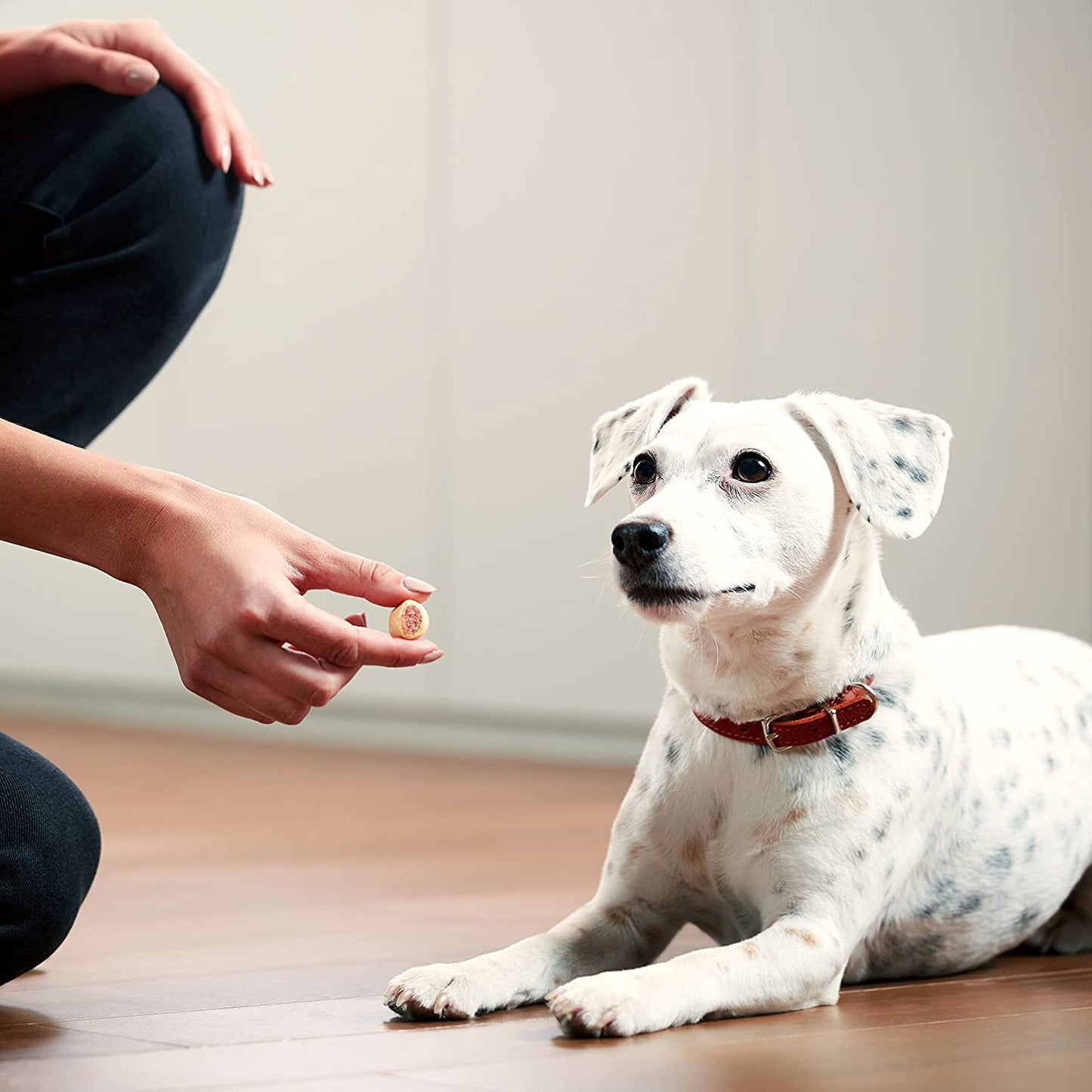 MILK BONE MARO SNACK TREAT 40z