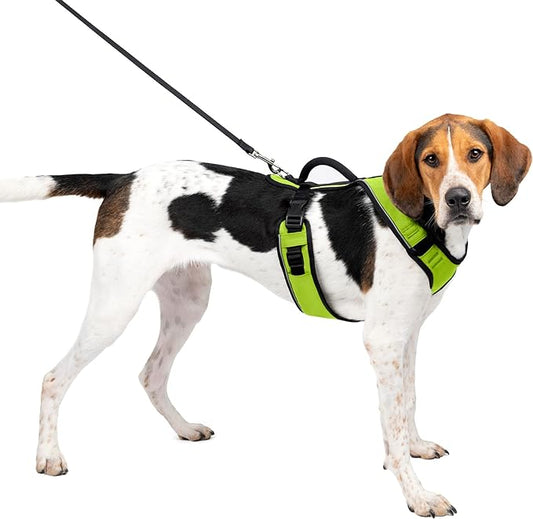 PetSafe Easy Sport Apple Harness