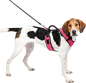 Petsafe Easy Sport Pink Harness