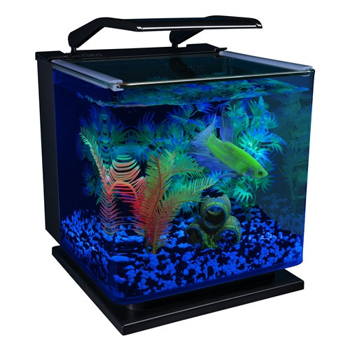 MARINELAND GloFish 3 Gal. Aquarium kit