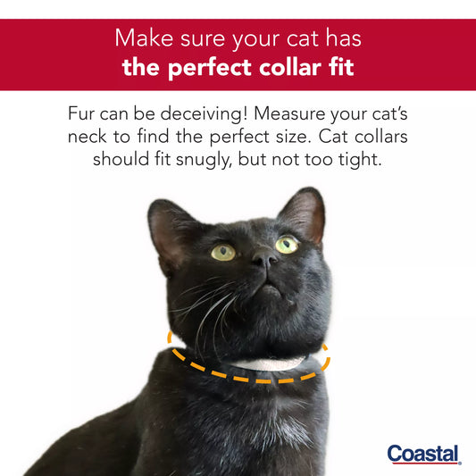 COASTAL5/16in Lil Pals Ribbon Safety Kitten Collar