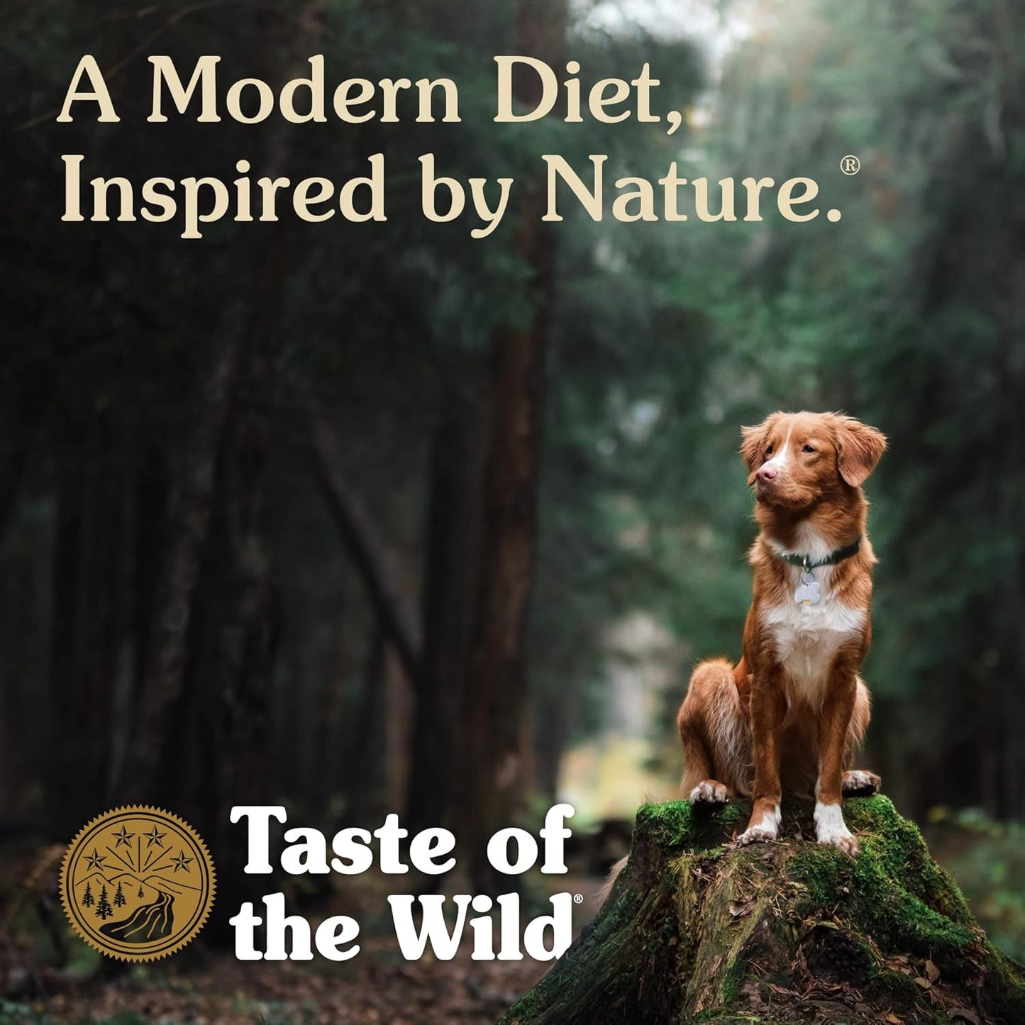 Taste of The Wild "Ancient Streem" Canine recipe with Smoke flavored Salmon