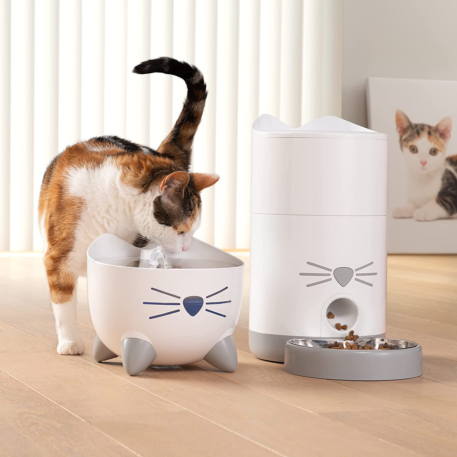 Catit Pixi Smart Fountain  Cat Drinking Fountain - The Pet Beastro