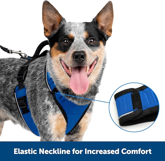 PetSafe Easy Sport Apple Harness