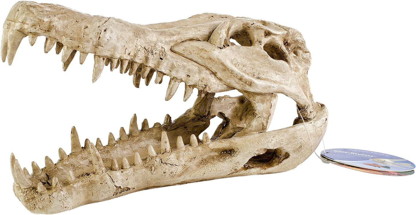 PENN PLAX GATOR SKULL