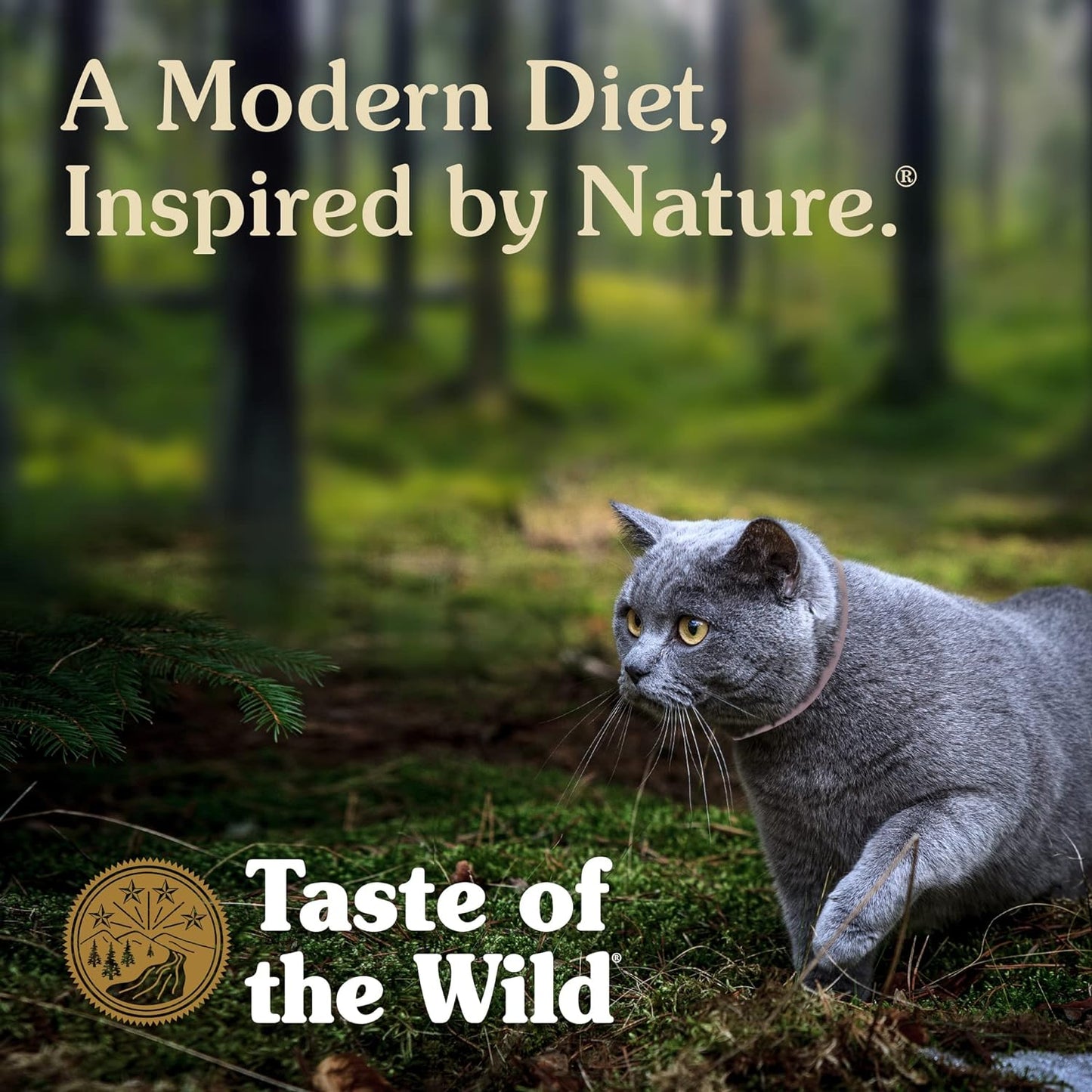 Taste of The Wild Rocky Mountain Feline Recipe 3oz