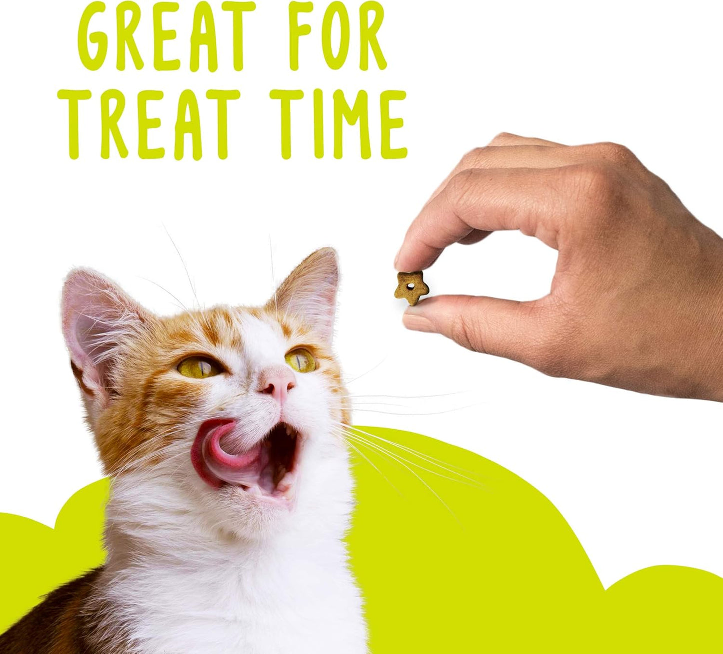 Friskies Party Mix Picnic Crunch Cat Treats