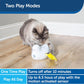 PETSAFE PEEK A BIRD AUTO TOY