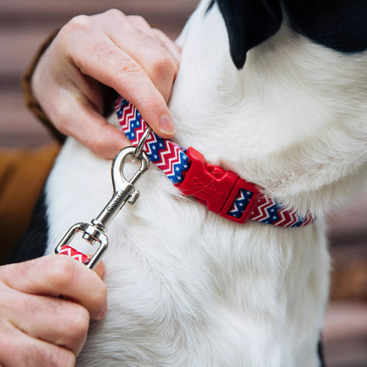 Coastal Styles Pink Dots Dog Leashes