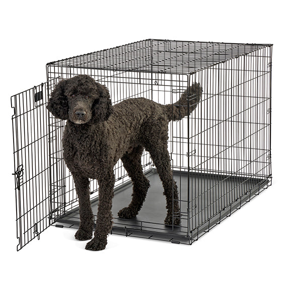 Midwest 1 Door Black Wire Dog Crates