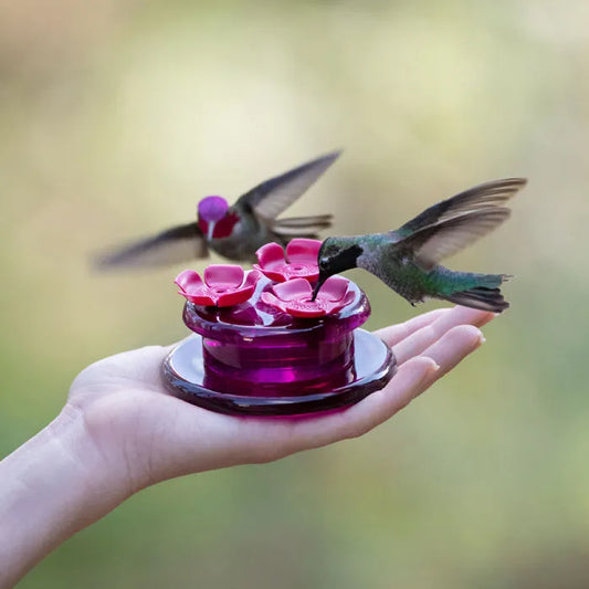 PERKY PET HANDHELD OR TABLETOP HUMMINGBIRD FEEDER