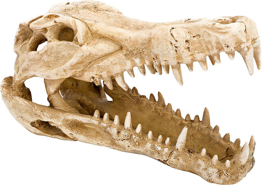 PENN PLAX GATOR SKULL