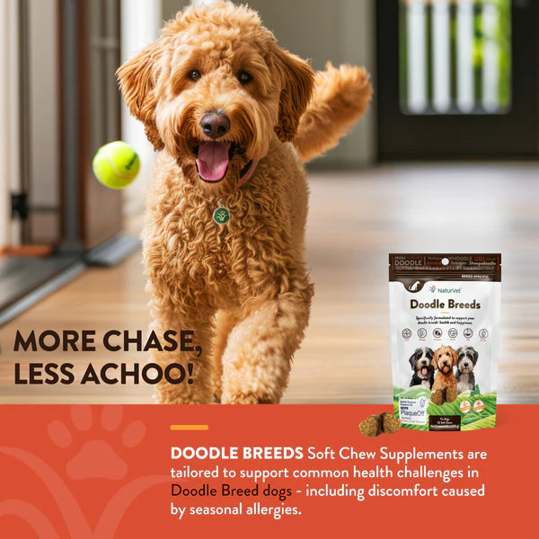 NaturVet Breed Specific Doodle Breeds dog treats