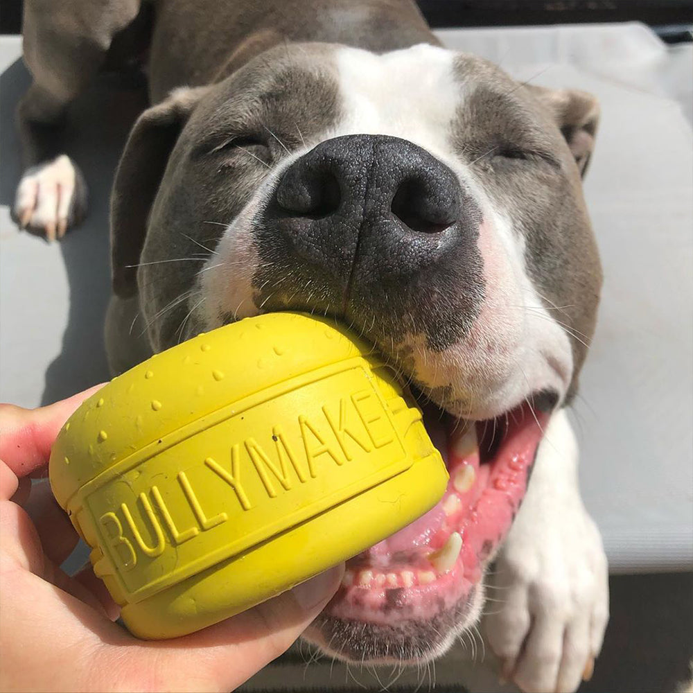 Bullymake shop dog toys