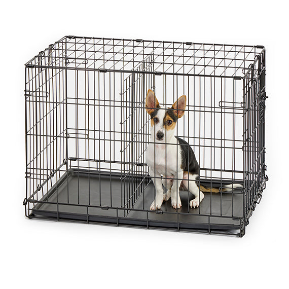 Midwest 1 Door Black Wire Dog Crates