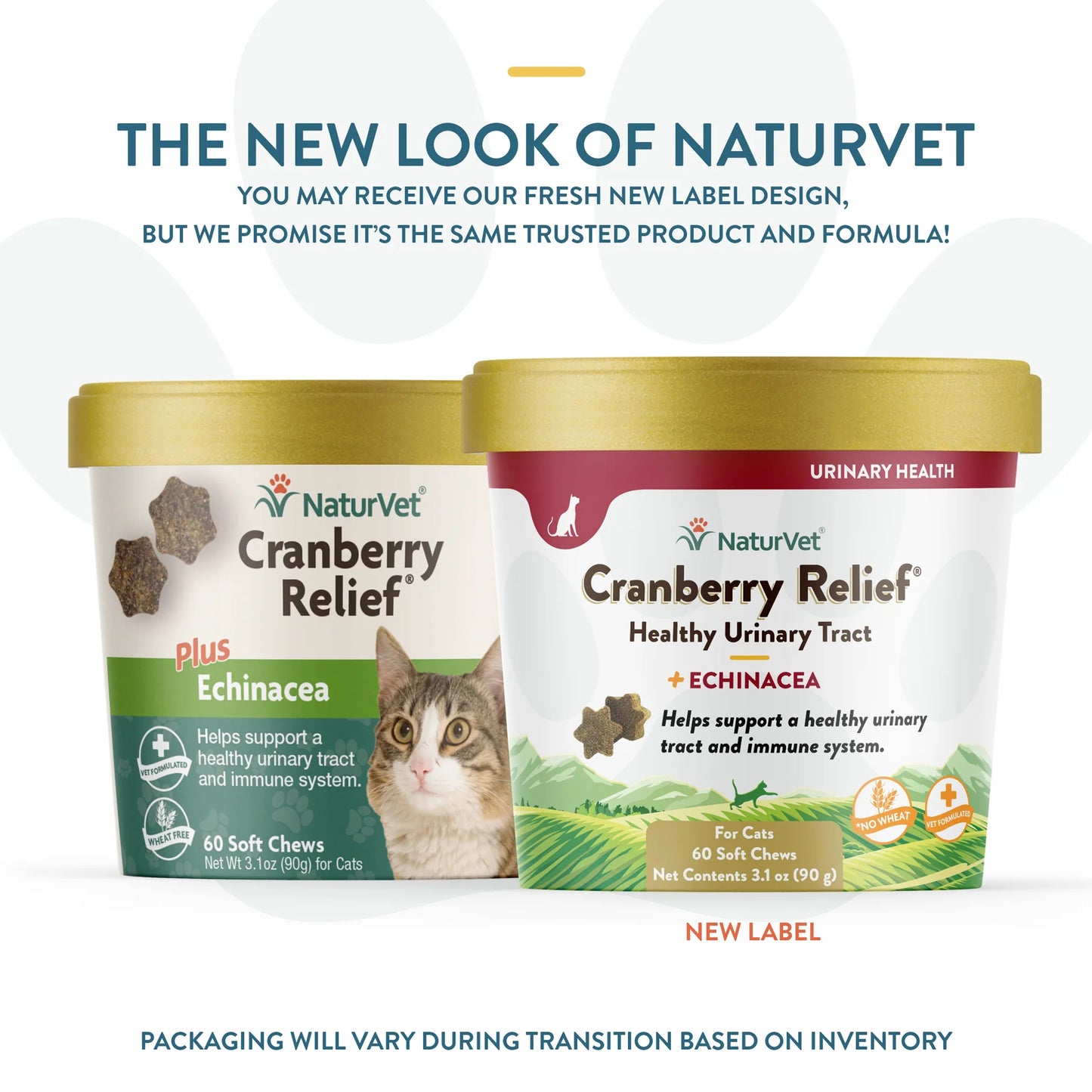 NaturVet Cranberry Relief Plus Echinacea Cat Soft Chews, 60 count