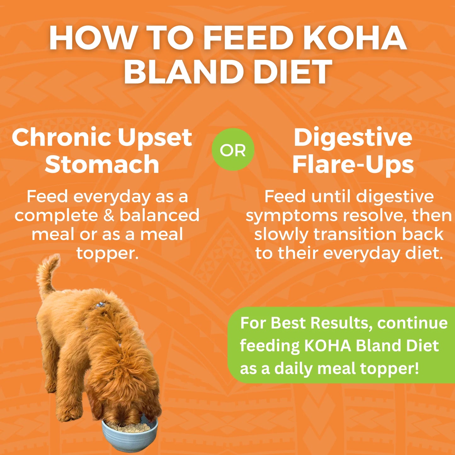 KOHA DOG BLAND DIET CHICKEN & RICE 12.5