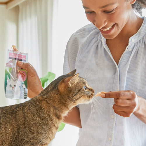 INABA Grilled Tuna in Scallop Flavored Broth for cats