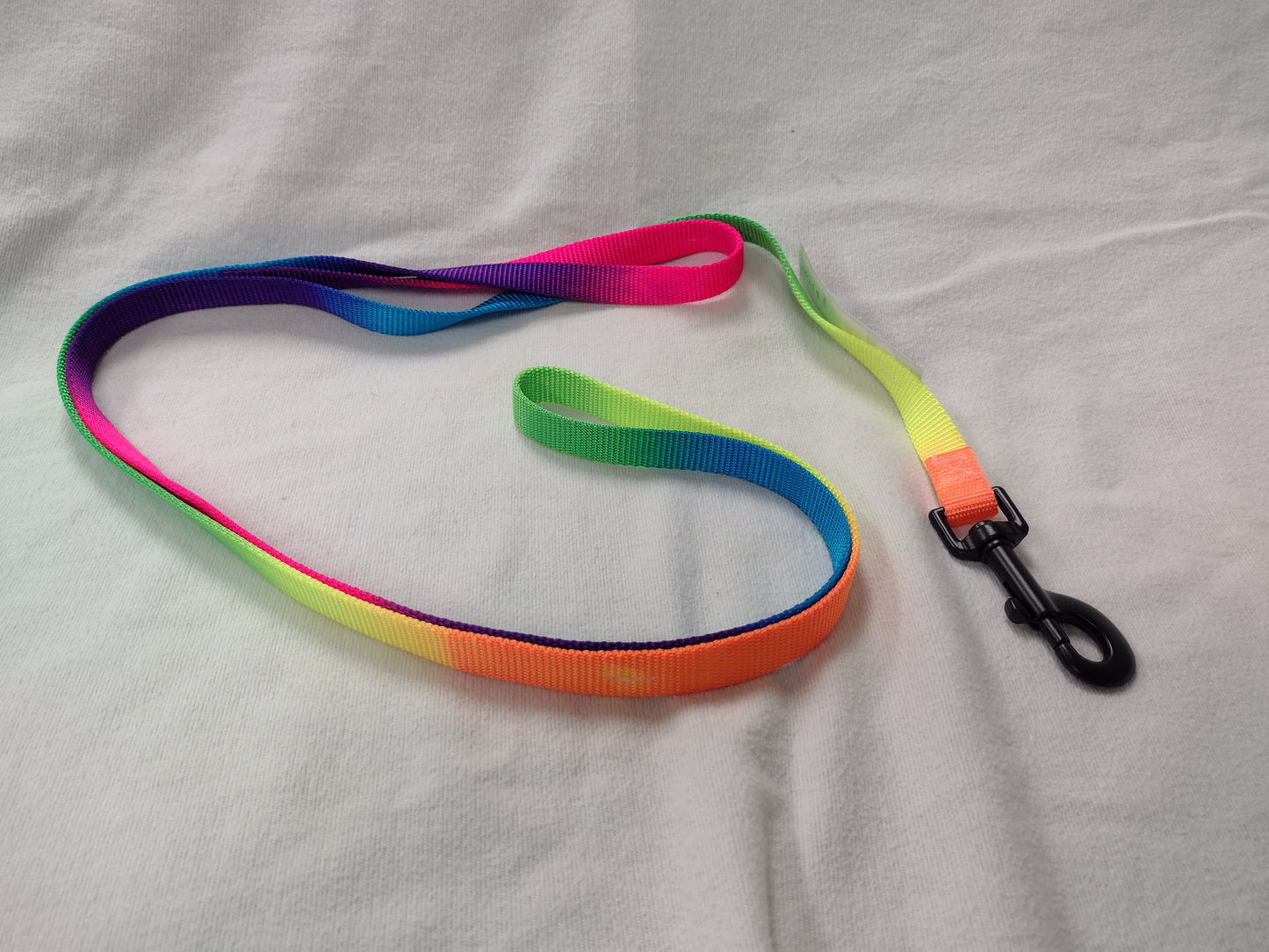 OmniPet 5/8" Rainbow Harness, Collar & Lead