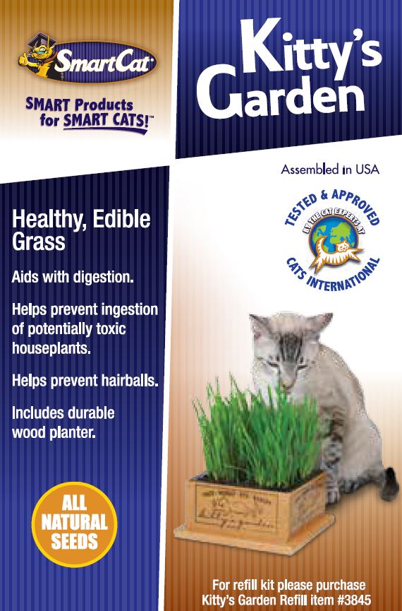 Pioneer Pet Kitty's Garden Edible Grass