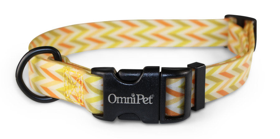 OmniPet Carmel Dog Collar & Leash
