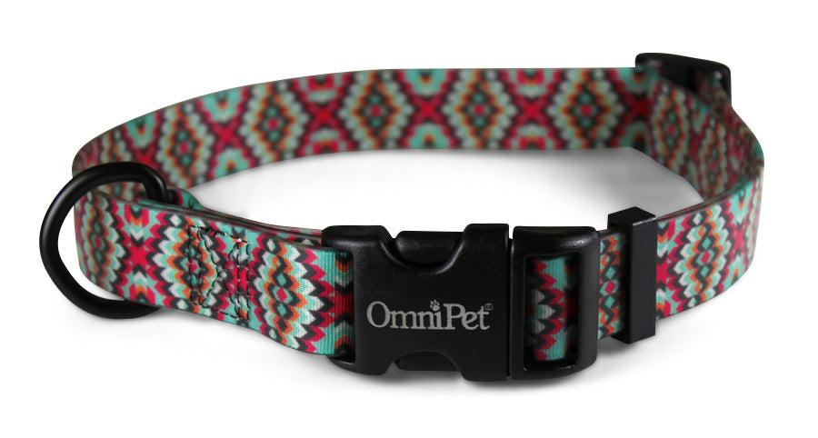 OmniPet Aztek Dog Collar & Leash