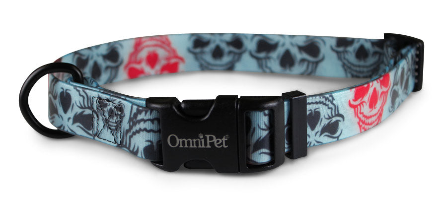 OmniPet Red Skull Dog Collars & Leash