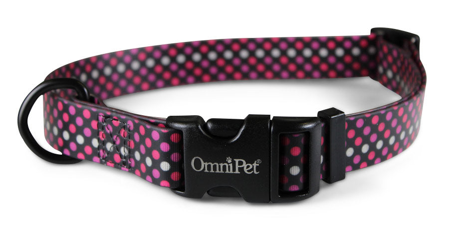 OmniPet Polka Neon Dog Collars & Leash