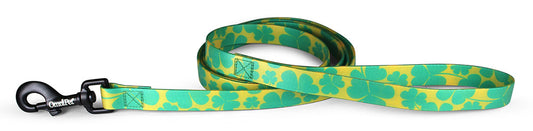 OmniPet Lucky Gold Dog Collars & Leash