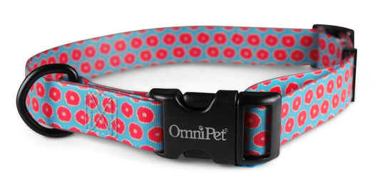 OmniPet Juicy Dog Collars & Leash