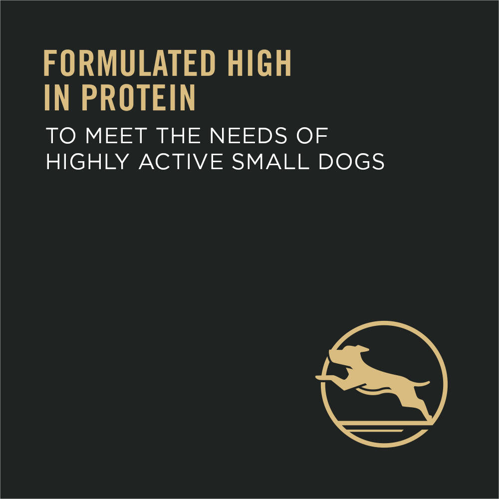PRO PLAN K9 FOCUS AD SMALL BREED
