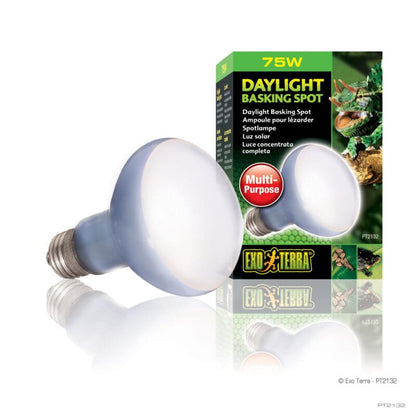 EXOTERRA DAYLIGHT BASKING SPOT LAMP