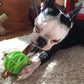 JW Pet Megalast Ball Dog Toy, Color Varies