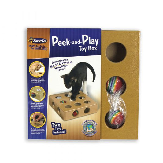 PIONEER PEEK & PLAY TOY BOX