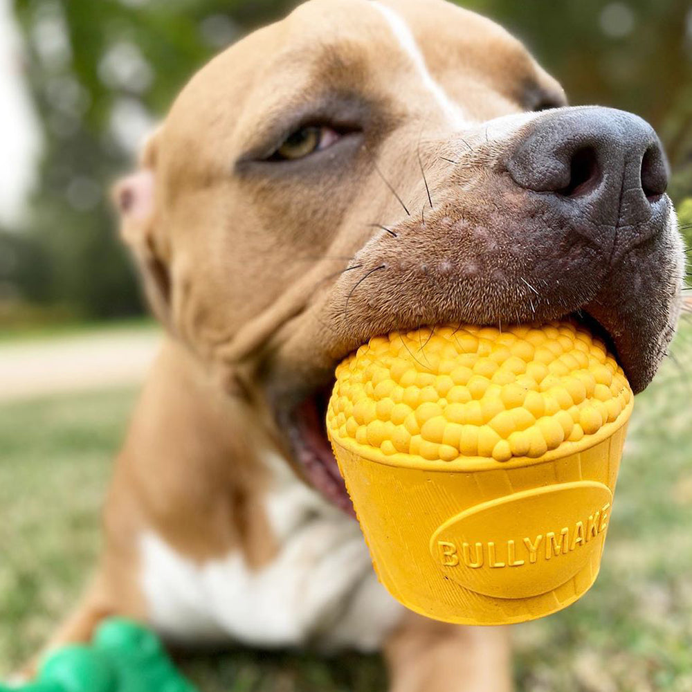 Bullymake Toss N' Treat Butter Flavored Dog Chew Toy, Popcorn Bucket