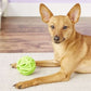 JW Pet Megalast Ball Dog Toy, Color Varies