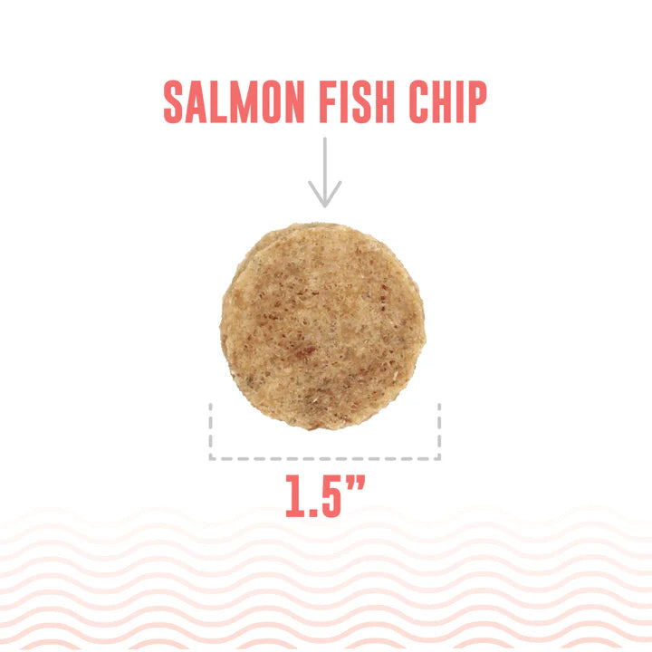 ICELANDIC SALMON FISH CHIPS