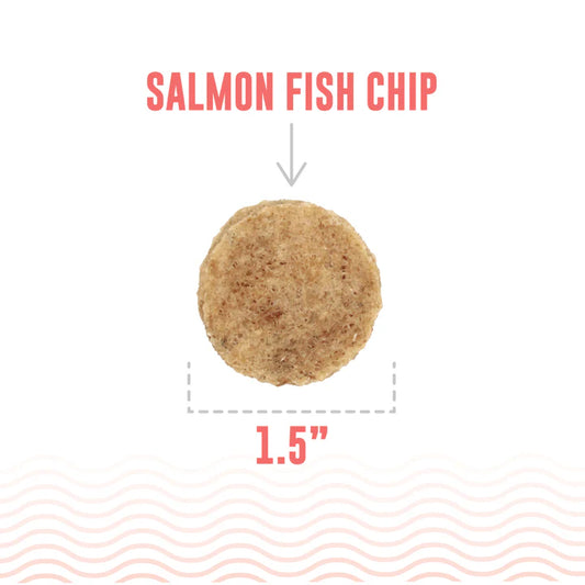 ICELANDIC SALMON FISH CHIPS