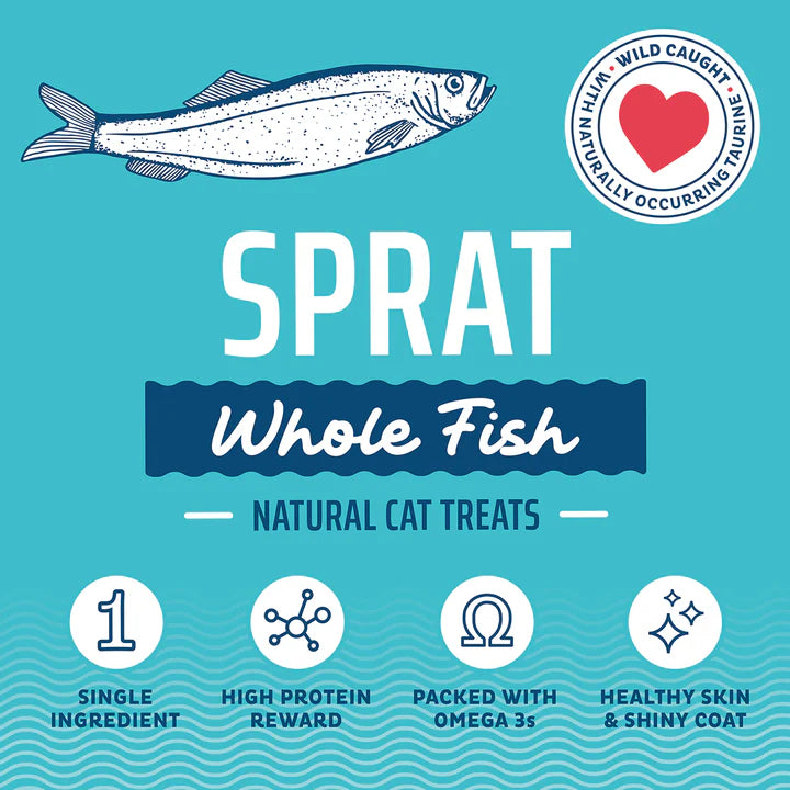 ISLANDIC CAT SPRATS WHOLE FISH