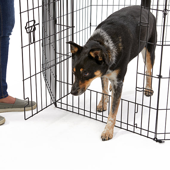 MidWest Contour Exercise Pens with Door