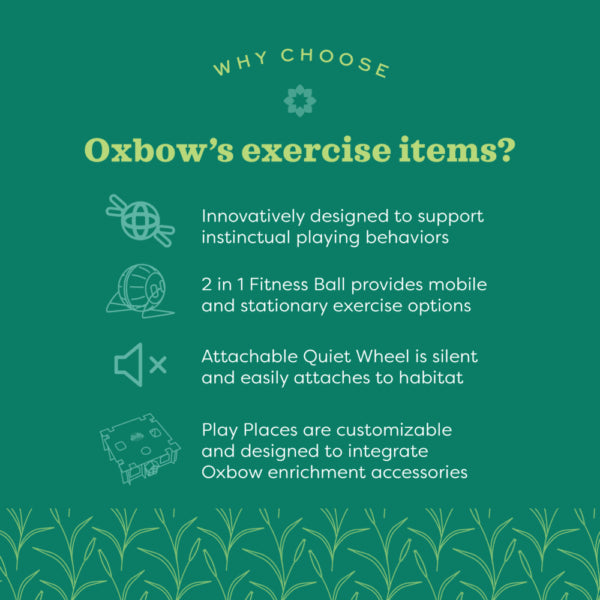 OXBOW 2IN1 FITNESS BALL