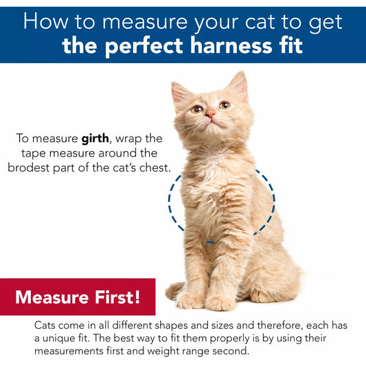 COASTAL Comfort Soft Mesh Adjustable Cat Harness