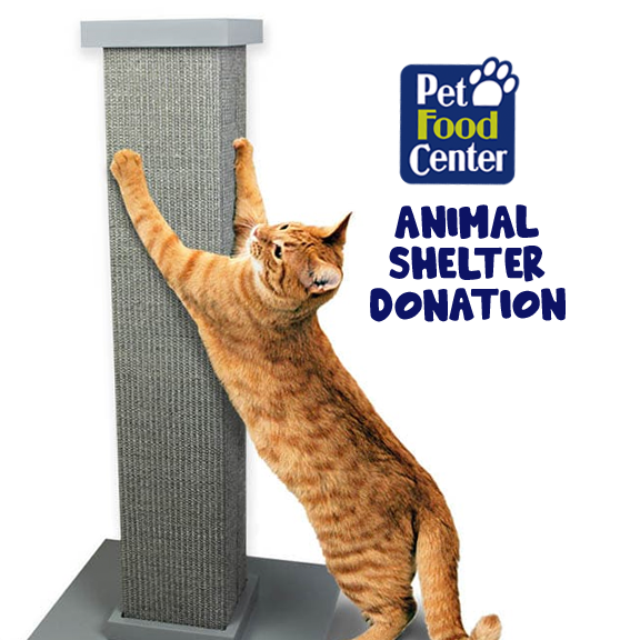 Shelter Cat Scratching Post Donations