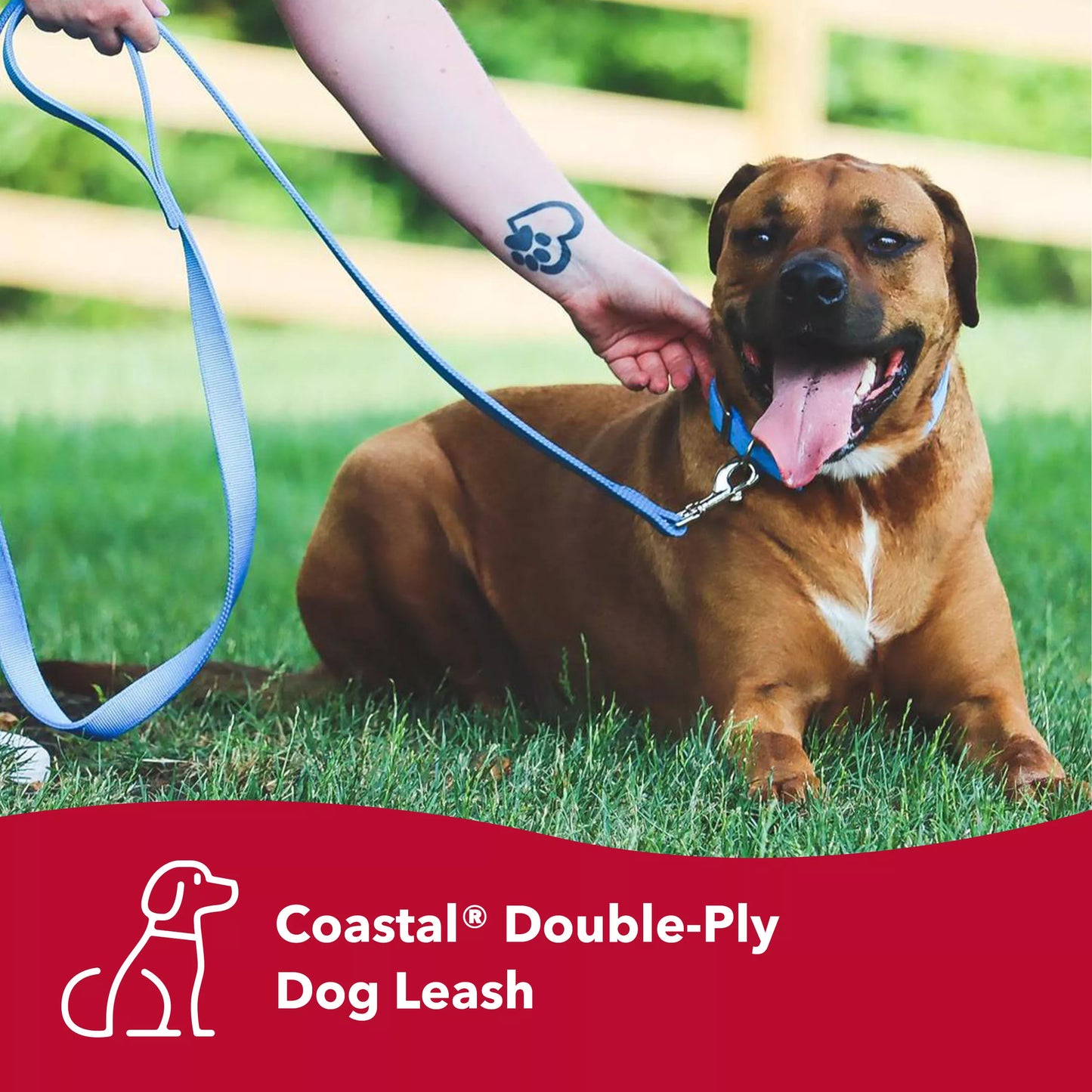 Coastal 1in Double Ply 6ft Dog lead