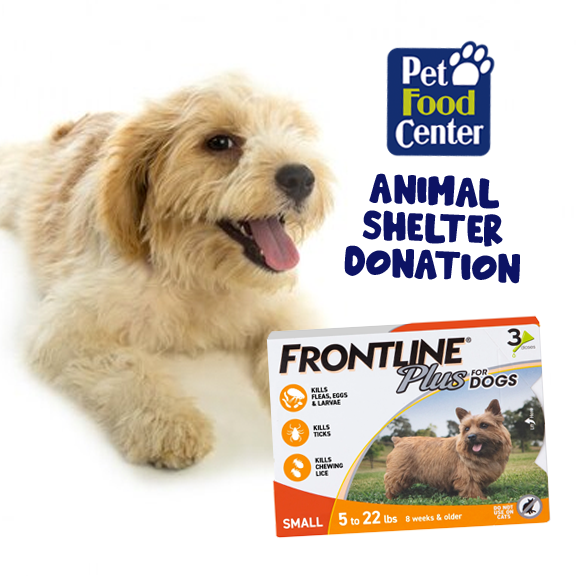 Shelter Dog Flea Prevention Donations