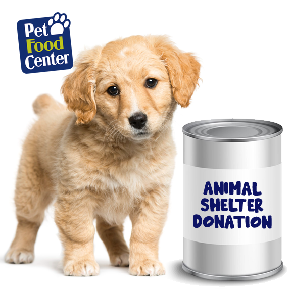 Shelter Dog Canned Food Donation