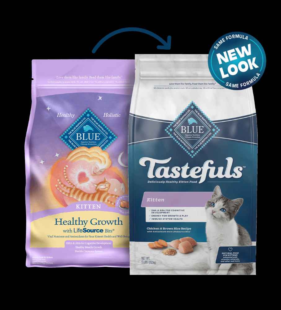 Blue healthy growth kitten hot sale food