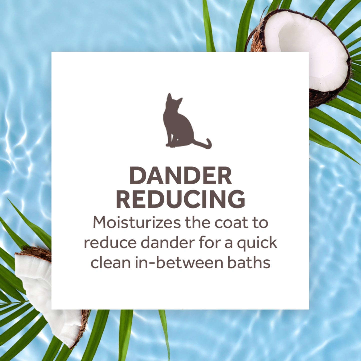 TROPICLEAN AQUA DE COCO DANDER REDUCING WATERLESS SHAMPOO FOR CATS