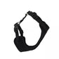 CoastalCat Comfort Soft Cat Harness